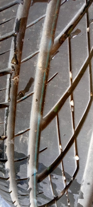 Roti de Vara R15 - imagine 4