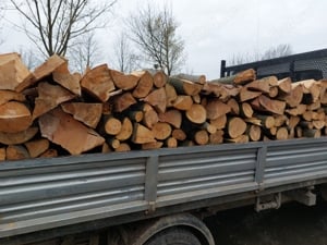 vând lemn de foc  !