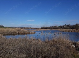 Teren la lac, Balta Palatului Caciulati - imagine 3