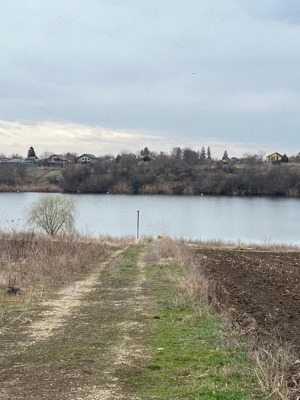 Teren la lac, Balta Palatului Caciulati - imagine 6