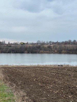 Teren la lac, Balta Palatului Caciulati - imagine 4