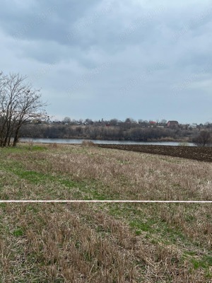 Teren la lac, Balta Palatului Caciulati - imagine 7