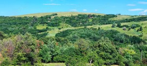 Vand teren.Panorama de vis. 1000mp--5000mp. - imagine 3