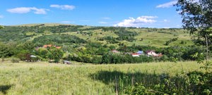 Vand teren.Panorama de vis. 1000mp--5000mp. - imagine 5