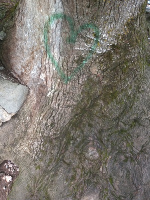 Drumetii copii în Brașov - imagine 4