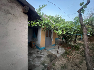 casa batraneasca + teren  - imagine 5 casa batraneasca + teren  - imagine 5