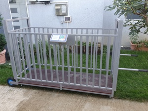 Cantar pentru animale  - imagine 4