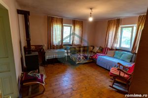 Casă / Vilă cu 3 camere de vânzare în Sat Rovina,  jud. Hunedoara - imagine 8