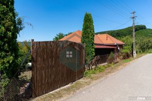 Casă / Vilă cu 3 camere de vânzare în Sat Rovina,  jud. Hunedoara - imagine 16