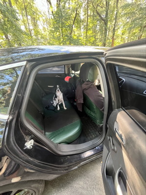 Opel Astra J 2010 1.6 Turbo 180cp Sport Edition - imagine 8