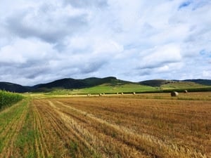 Teren de 6000 mp la marginea comunei Sanmartin, jud.Harghita, langa E578 - imagine 4