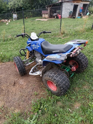 ATV barosa guard 250 - imagine 3