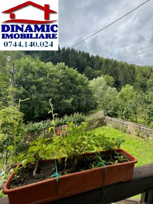 Casă, Bistrița, 1000 mp teren. Preț 590 eur  lună - imagine 15