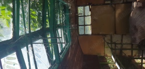 Vand schimb cu teren rulota sau diverse 2 pavilioane apicole  - imagine 3