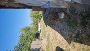 Casa 3 camere - imagine 3