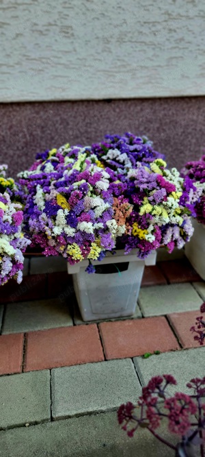 Flori statice la buchet - imagine 5