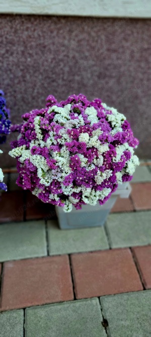 Flori statice la buchet - imagine 3