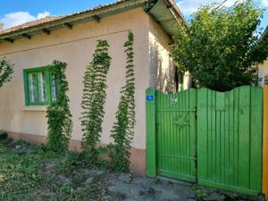 Cerna-Vand casa 20 000 Euro Negociabil - imagine 2