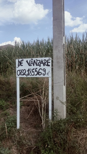 Teren de vânzare