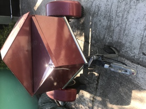 Remorcată pentru transportat câini  - imagine 3