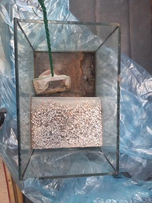 acvariu  - imagine 2