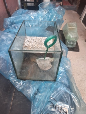 acvariu  - imagine 3