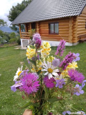 Vanzare 2 cabane de agroturism la 15km de Pestera Scarisoara - imagine 17