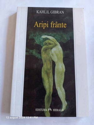 aripi frante