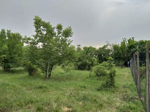 Teren intravilan 1997 mp , str.Militari nr.18 , Focsani - imagine 4