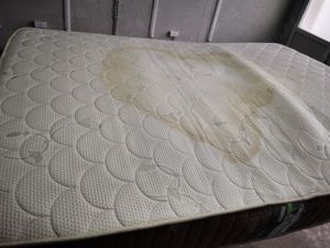 Spalare igienizare canapele, saltele, coltare la domiciliu clientului - imagine 9