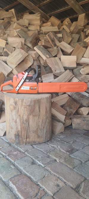 Tai lemne în județul Timiș, în zonele de lângă Teremia Mare - imagine 2