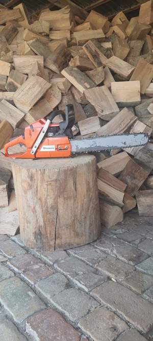 Tai lemne în județul Timiș, în zonele de lângă Teremia Mare - imagine 3