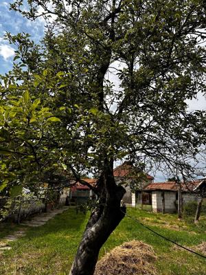 Casa in loc. Paroș, zona Salsu de Sus, Hateg, Hunedoara - imagine 9