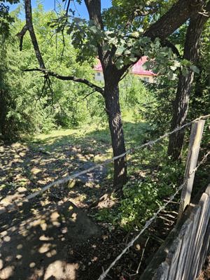 De vanzare casa si teren in Praid - imagine 5