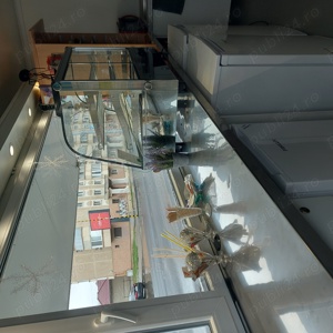 Rulota fastfood cafenea - imagine 5