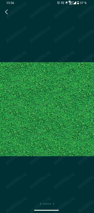 Vand nisip pietriș verde acvariu