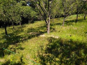 De vanzare - imagine 2