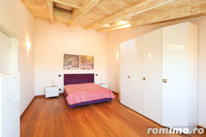 Apartament 3 camere duplex - Unirii,  Str. Principatele Unite - imagine 16