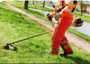 tund iarba cu motocoasa 