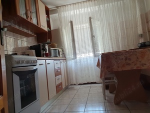 Apartament de vânzare Lugoj Nera  - imagine 8