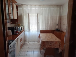 Apartament de vânzare Lugoj Nera  - imagine 9