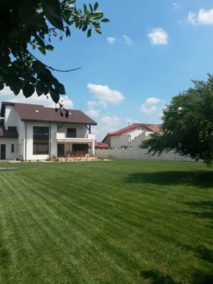 25 ani experienta  - imagine 7