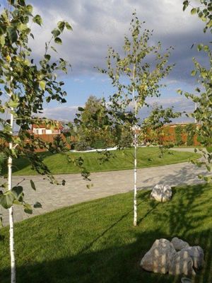 Servicii peisagistice - imagine 3