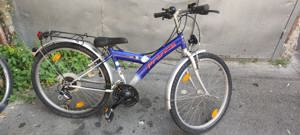 Bicicleta copii fetița și adulți damă - imagine 2