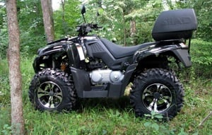 Atv 300cc - imagine 3