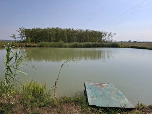 Casa cu lac și pădure în jud. Satu Mare comuna Acîș - imagine 6