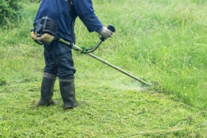 Oferim servici de tuns și greblat iarba