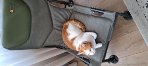 Scaun pliant pescuit cu picioare oțel reglabile pe înălțime - imagine 9