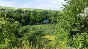 Proprietate 2,3 ha și casa batraneasca - imagine 5