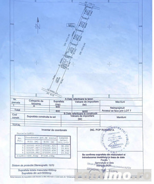 TEREN DE VANZARE DOMNESTI, 1200 MP, 600+600 - imagine 5